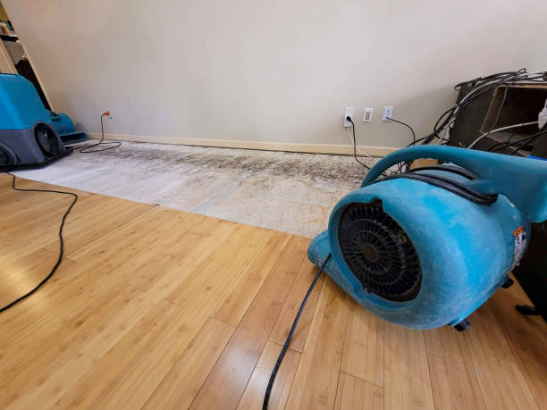 Professional Water Removal technician working in Portsmouth, NH